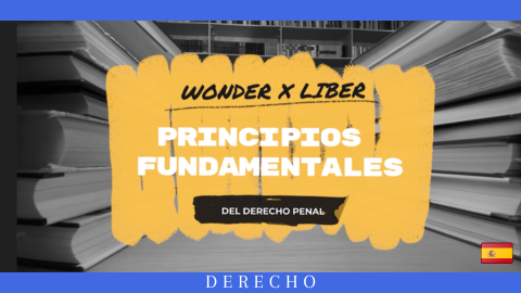 Derecho Penal: Principios Fundamentales