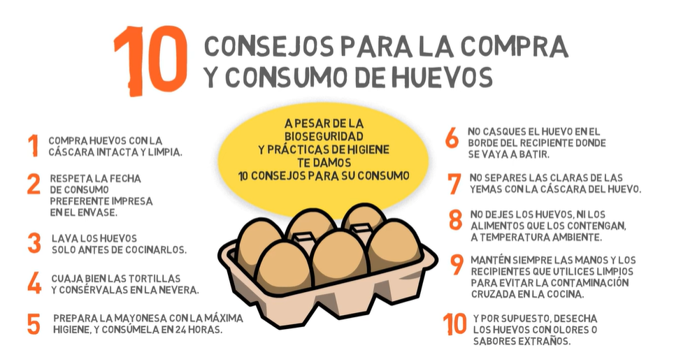 Seguridad alimentaria y manipulación del huevo consejo huevos