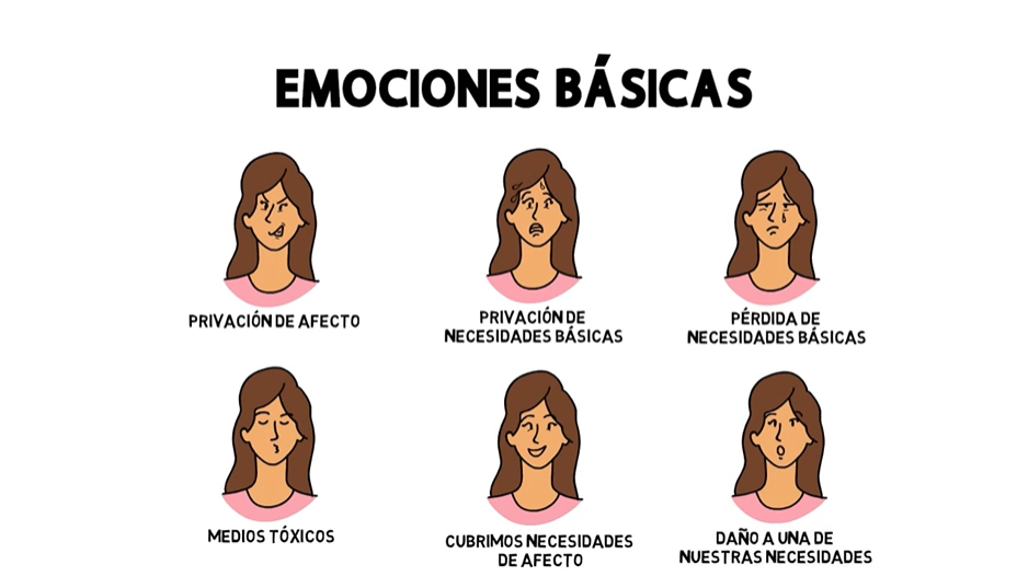 emociones basicas